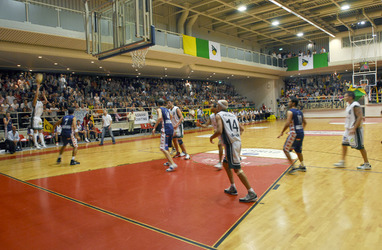 Basket SAV Vacallo SAM Massagno