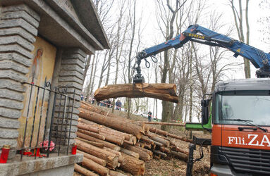 Cademario giornata sul legname AELSI