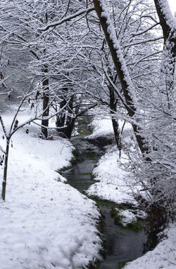 Stabio nevicate in Ticino