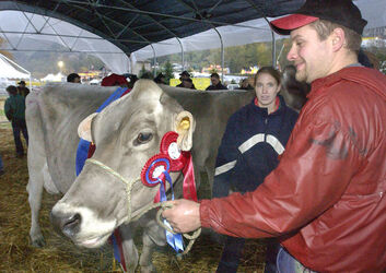 Mendrisio Fiera San Martino 2003