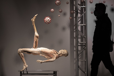 Lugano Real Bodies alla scoperta del corpo umano