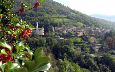 Senza titolo Senza titolo