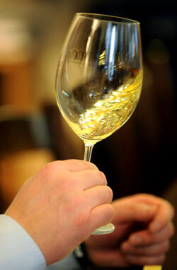 02.2011 Lugano degustazione di formaggio al Bottegone del Vino
