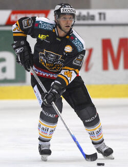 Hockey Dick T&auml;rnstr&ouml;m