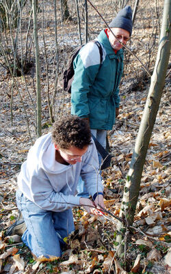 Losone eco volontariato WWF