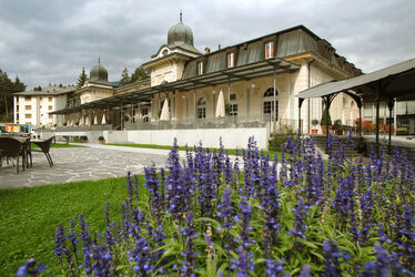 Flims Park Hotel Waldhaus Flims Park Hotel Waldhaus