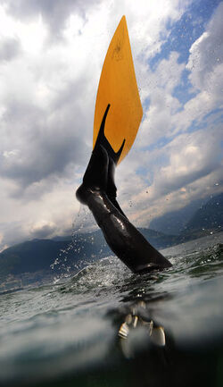 Apnea Campionati Svizzeri