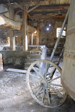 Senza titolo Senza titolo