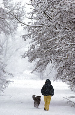 Stabio nevicate in Ticino