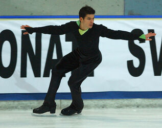 Pattinaggio Artistico Stéphane Lambiel Pattinaggio Artistico Stéphane Lambiel