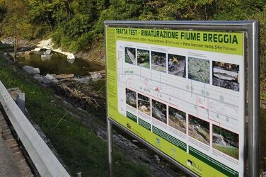 Balerna fiume Breggia lavori di rinaturazione
