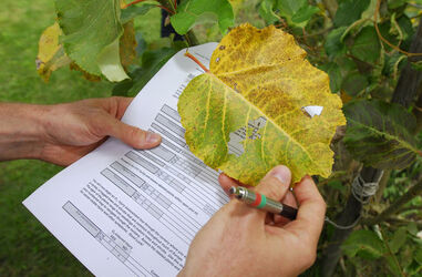 Lattecaldo meeting esperti effetti ozono Lattecaldo meeting esperti effetti ozono