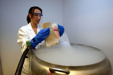 Bellinzona Istituto oncologico porte aperte