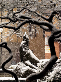 Ticino nevicate scorci invernaliSenza titolo