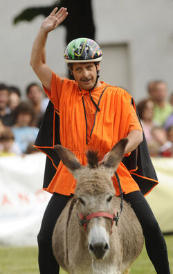Mendrisio Palio degli Asini