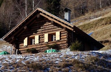 Senza titolo Senza titolo