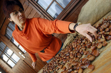 Rivera Castagne ubriache