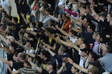 Hockey tifosi HC Lugano