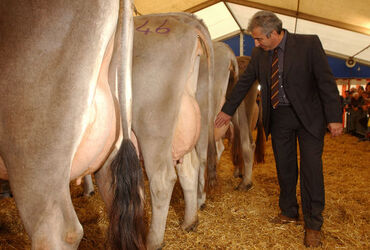 Mendrisio Miss Mendrisio 2005