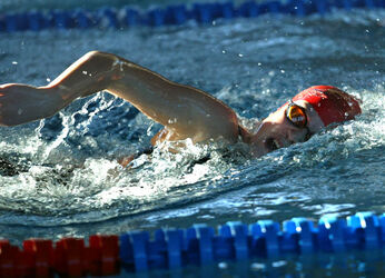 Nuoto giovanile trofeo bustelli