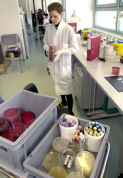 Bellinzona laboratorio cantonale inaugurazione Bellinzona laboratorio cantonale inaugurazione