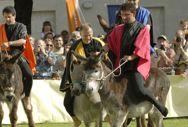 Mendrisio Palio degli Asini