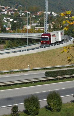 Manno nuovo snodo anulare ricciolo 