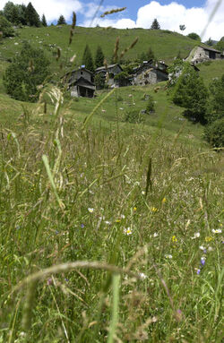 Val di Blenio trekking escursionistici