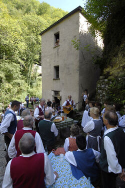 Bruzella 10 anni Mulino di Bruzella