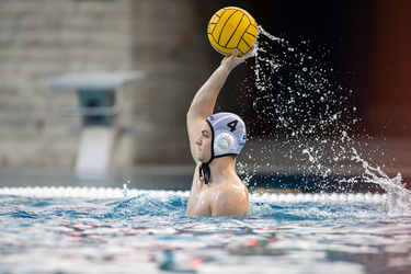 Pallanuoto Lugano Sharks SC Kreuzlingen Wasserball