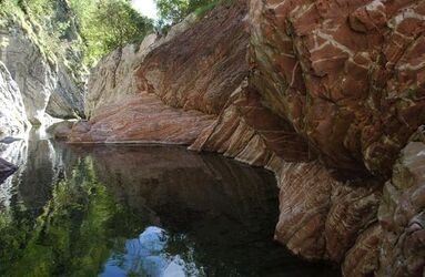 Geoparco escursione al Parco della Breggia