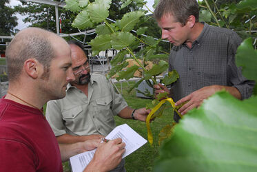 Lattecaldo meeting esperti effetti ozono Lattecaldo meeting esperti effetti ozono