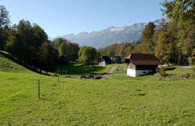Museo all aperto di Ballenberg