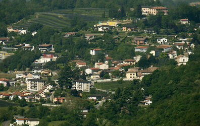 Senza titolo Senza titolo