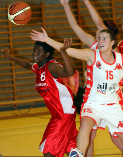 Basket Cassarate Basket Daihatsu SF Muraltese