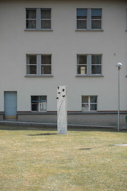 Bellinzona cerimonia commemorativa per le vittime di misure coercitive