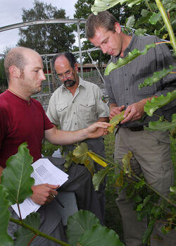 Lattecaldo meeting esperti effetti ozono