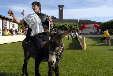 Mendrisio Palio degli Asini