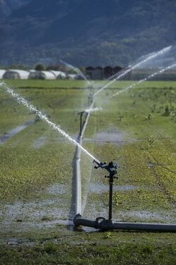 Ticino coltivazioni sul Piano di Magadino bel temppo emergenza siccit&agrave;