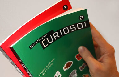 Bellinzona libro Curioso di Marco Martucci