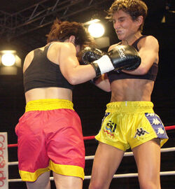 Kick Boxing incontro titolo mondiale ISKA