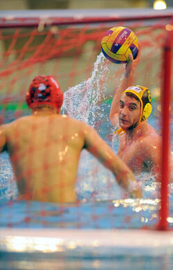 Pallanuoto Lugano Horgen