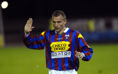 Calcio Almir Gegic