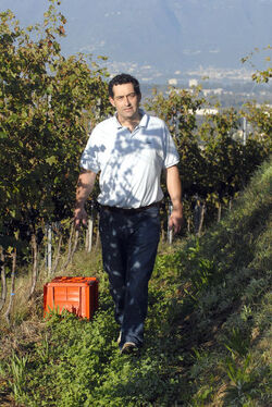 Gudo Tiziano Tettamanti