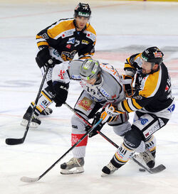 Hockey HC Lugano EV Zugo