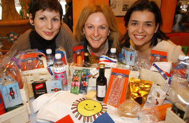 Bellinzona cestino Ticino presentazione