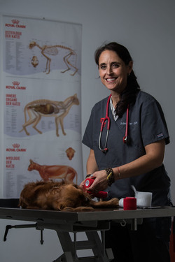 Bellizona Martina Casella veterinaria