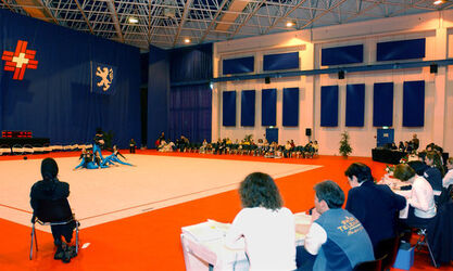 Ginnastica ritmica qualifiche campionati svizzeri Ginnastica ritmica qualifiche campionati svizzeri