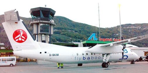 Senza titoloLugano FlyBaboo