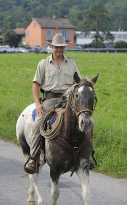Stabio equitazione monta western